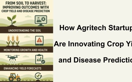 From Soil to Harvest: Improving Outcomes with Crop Yield and Disease Prediction