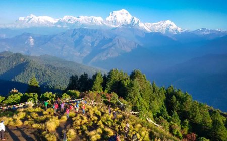 How To Avoid Painful Mistakes On Your First Ghorepani Trek
