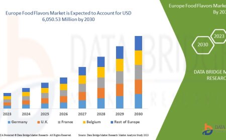Europe Food Flavors Market Demand: Growth, Share, Value, Size, and Insights
