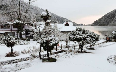 Breathtaking Vistas Await at Snow View Point Nainital