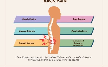 What Causes Muscle Pain in the Back?