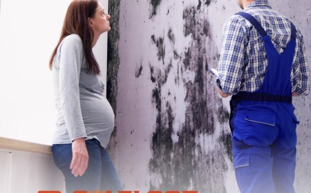 Boise Water Cleanup Services On Call