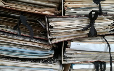 Distractions Are Winning: Why More Students Choose to Buy Thesis Paper and Regain Control