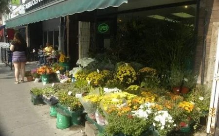 Best Same Day Flower Delivery Toronto Services 2025