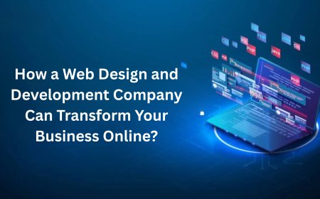 How a Web Design and Development Company Can Transform Your Business Online?
