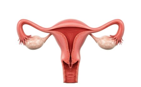 IVF vs IUI: Which Fertility Treatment Is Right for You in Bangalore?