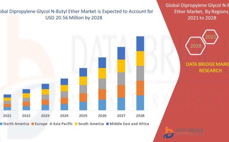 Dipropylene Glycol N-Butyl Ether Market: Size, Share, and Future Growth