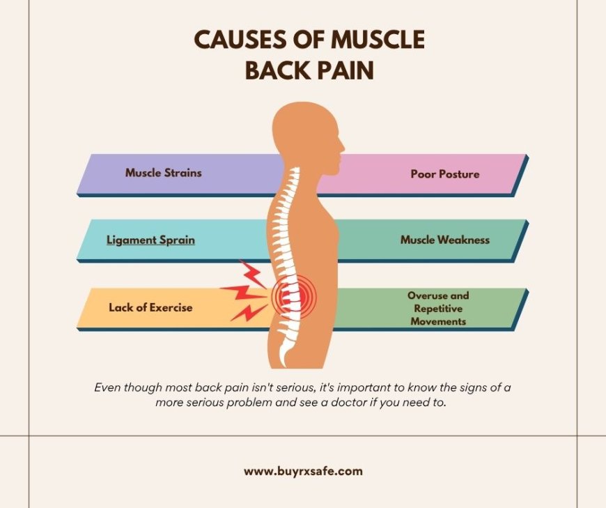 What Causes Muscle Pain in the Back?