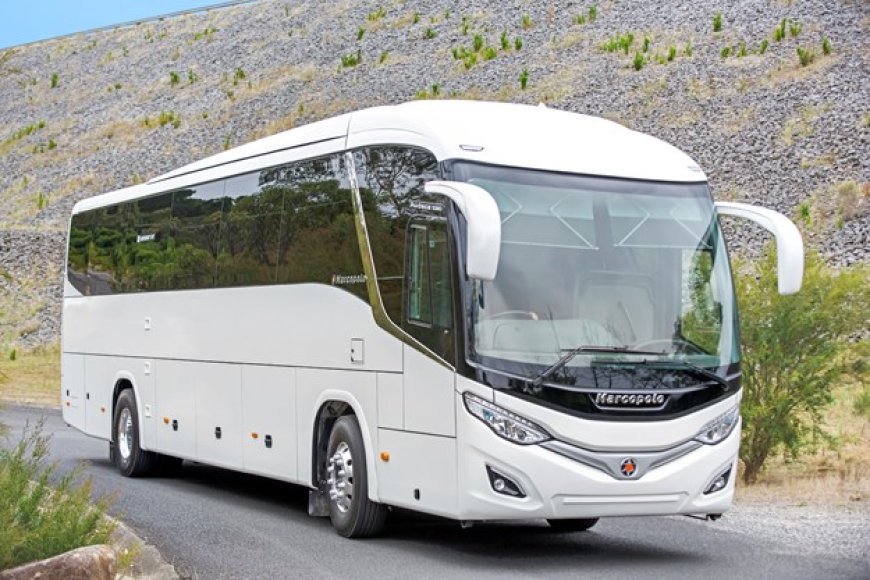 Need Group Travel? Here’s Why a 30 Seater Coach is Perfect
