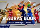 How to Get a Cricket Betting ID Online Instantly in India [2025 Guide]
