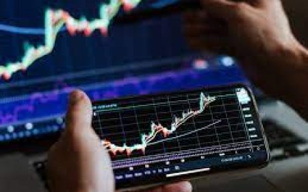 The Rise of Local Forex Brokers in Mexico: Are They a Safer Choice?