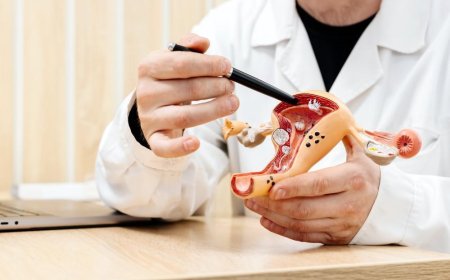 Heavy Periods, Pelvic Pain, or Bloating? It Could Be Uterine Fibroids