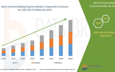 North America Baking Enzymes Market Rises with Demand for Clean Label and Process Efficiency