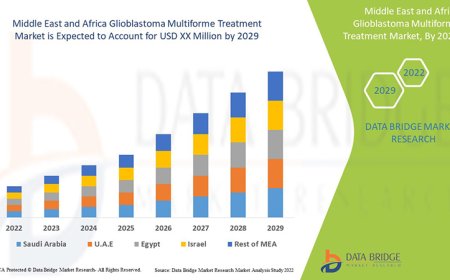 Glioblastoma Multiforme Treatment Market in Middle East and Africa Grows Amid Rising Cancer Burden