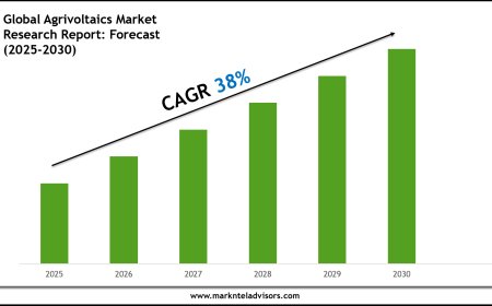 Agrivoltaics Industry Analysis 2025–2030: Market Insights & Forecast