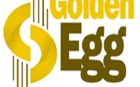 Transmission of shares