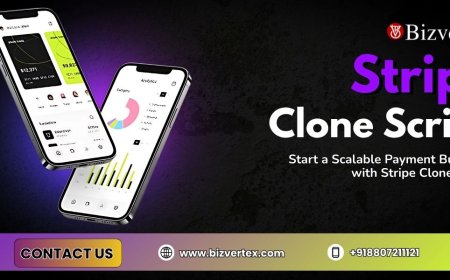 Build Next-Level Payment System with Stripe Clone Script