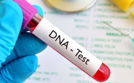 Not Just Ancestry: How DNA Tests in Dubai Are Shaping Preventive Health
