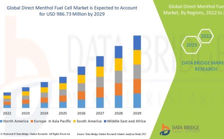 Direct Menthol Fuel Cell Market expected to reach USD 986.73 million by 2029