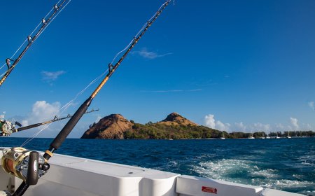 The Economic Benefits of Fishing in St Lucia