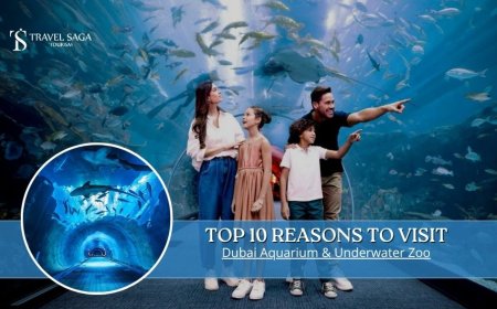 Top 10 Reasons to Visit Dubai Aquarium & Underwater Zoo