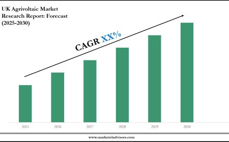 2025–2030 UK Agrivoltaic Market Landscape: Growth, Share & Opportunities