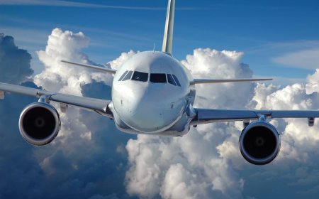 Best Phone Numbers to Reach Human Help at Norse or Breeze