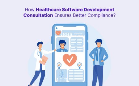How Healthcare Software Development Consultation Ensures Better Compliance?