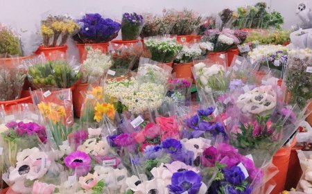 Dried Flower Bouquet Singapore