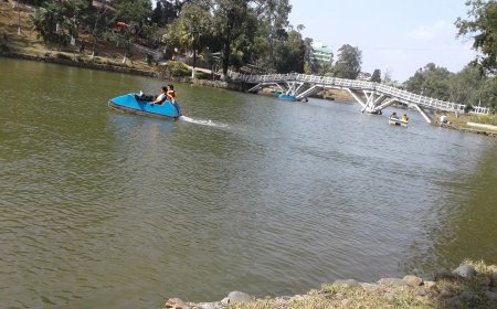 Top Places to Visit in Shillong: The Heartbeat of Meghalaya