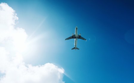 Why +1 800 860 5036 Is the Only Number You Need for Norse & Frontier