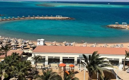 Why Your Next Trip Should Include a Red Sea Diving Adventure