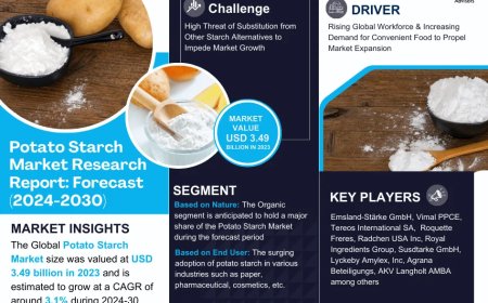 Potato Starch Market Set for Explosive Growth with 3.1% CAGR by 2030