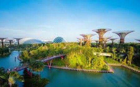 10 Reasons Lahore Locals Prefer Booking Through Travel Agencies