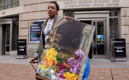 What Are Global Health & Development Jobs in Canada?