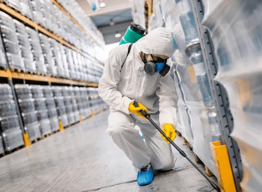 Commercial Pest Control Perth: Keeping Your Business Pest-Free & Professional