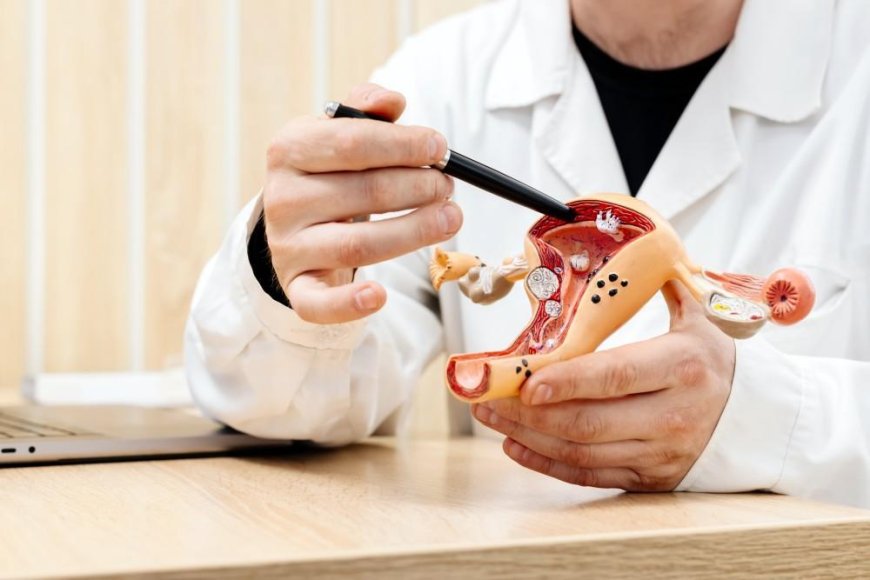 Heavy Periods, Pelvic Pain, or Bloating? It Could Be Uterine Fibroids