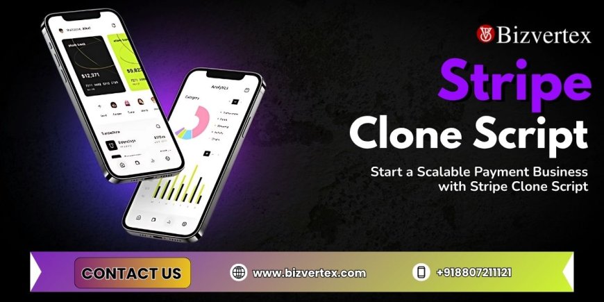 Build Next-Level Payment System with Stripe Clone Script