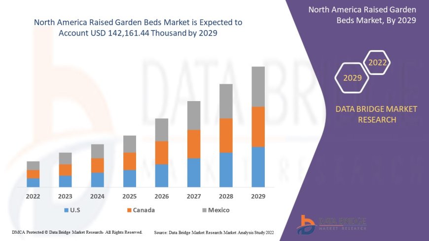 North America Raised Garden Beds Market Revenue Analysis: Growth, Share, Value, Size, and Insights