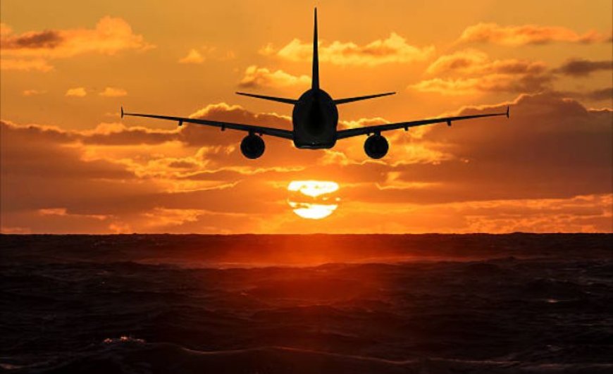 Everything You Need to Know About the Turkish Airlines Office in Chicago