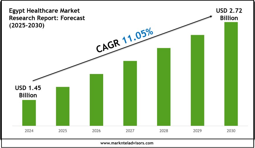 Egypt Healthcare Market Report 2025–2030: Demand, Value & Share Outlook