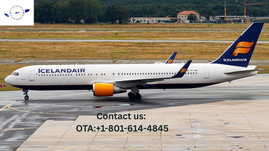 How Do I Talk to a Human at Iceland Air? - Hassle-Free Ways