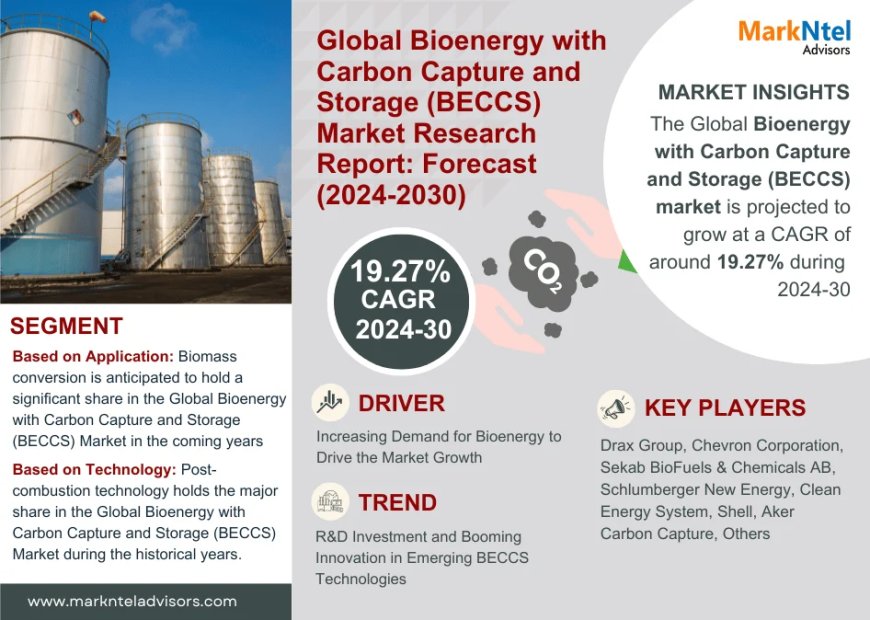 Bioenergy with Carbon Capture and Storage (BECCS) Market Set for Explosive Growth with 19.27% CAGR by 2030